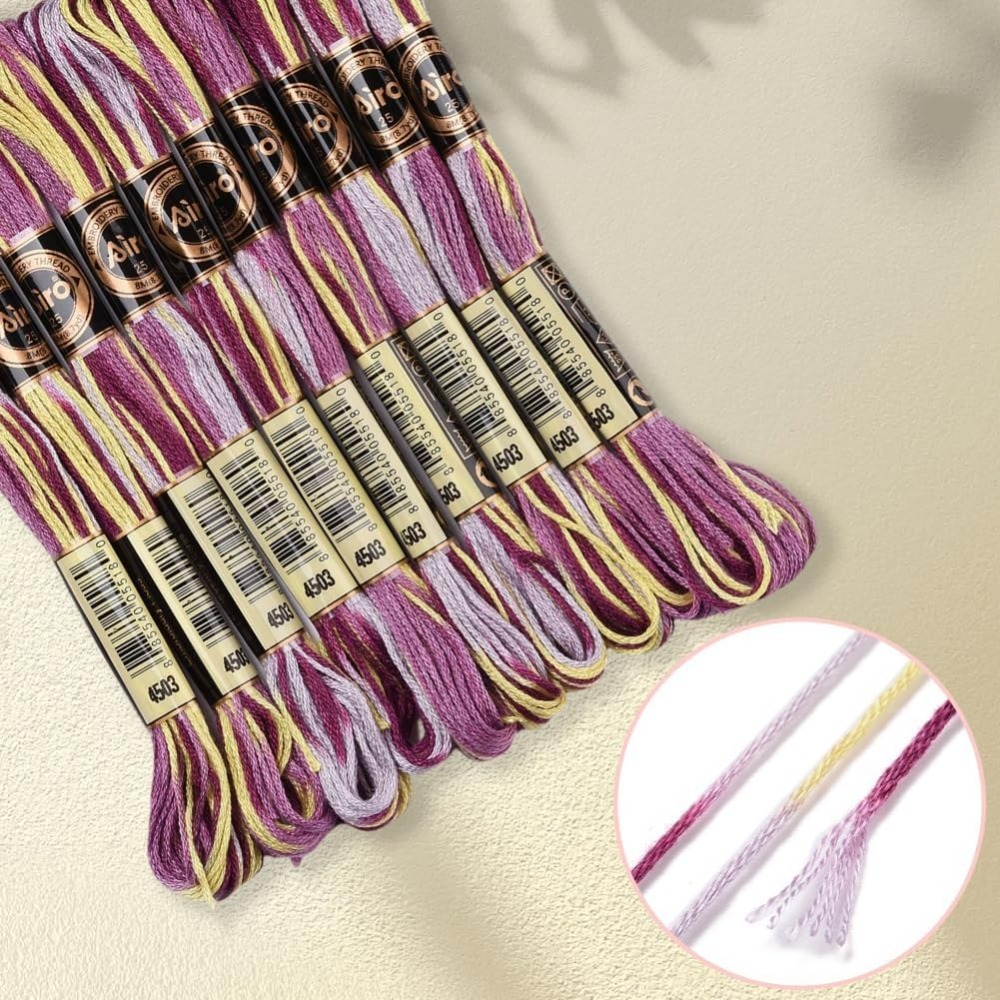 6 Strands Purple Variegated Em - Embroidery Floss Thread 评论和价格
